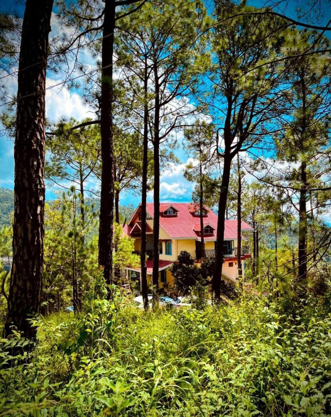 Rainbow Resorts Solan Εξωτερικό φωτογραφία