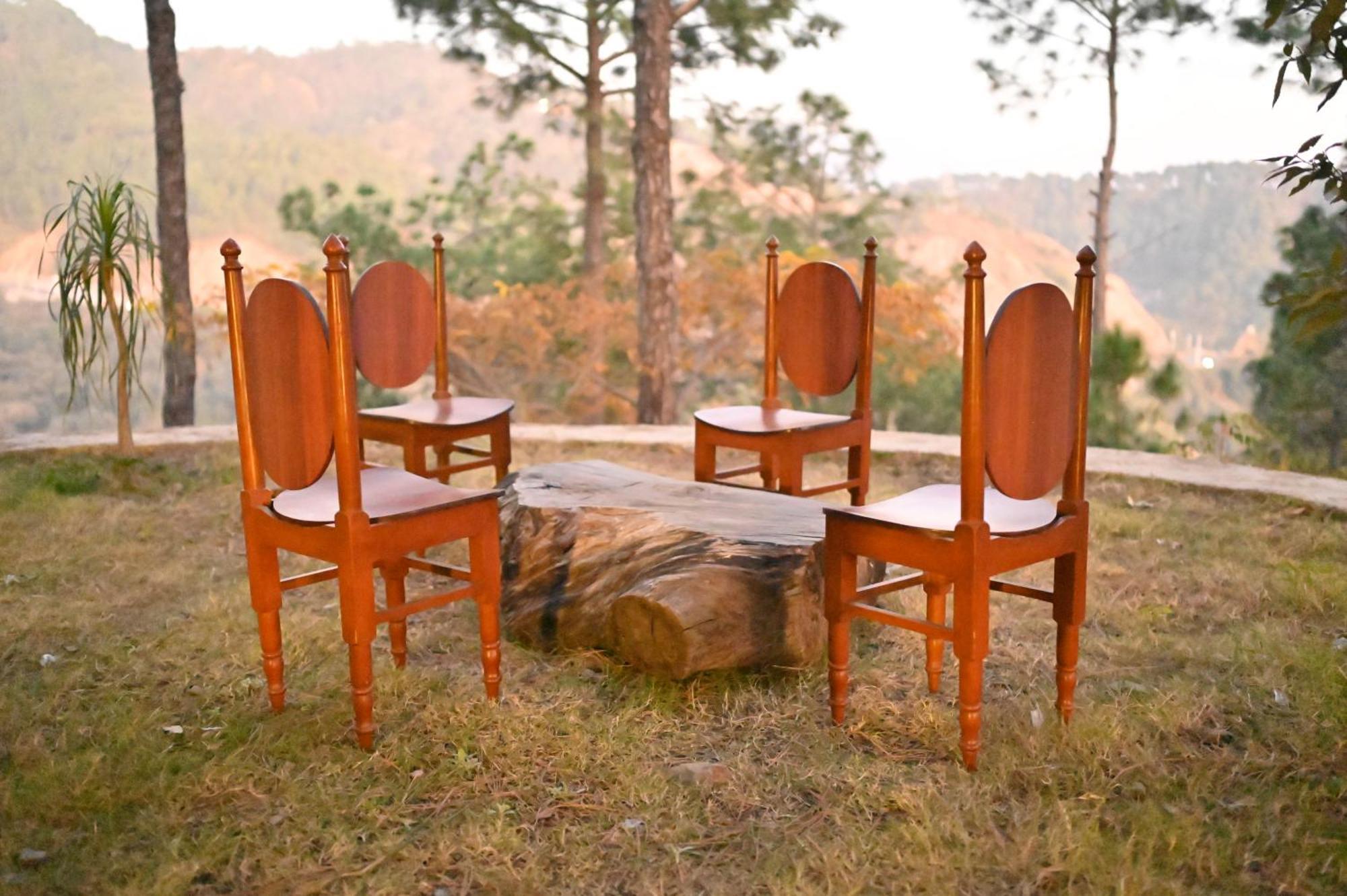 Rainbow Resorts Solan Εξωτερικό φωτογραφία